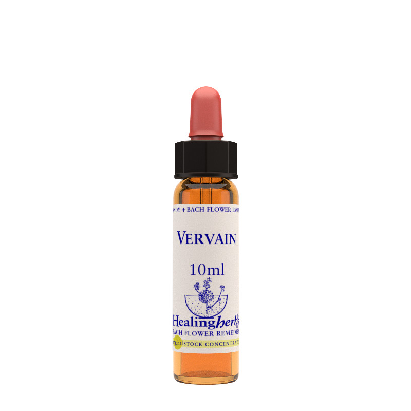 vervain